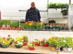 Mr Gaborit Pascal et ses plants de fleurs
