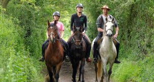 Action de cruauté sur les équidés