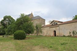 IMG_5560