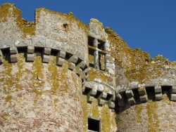 Château de l'Ebaupinay 15