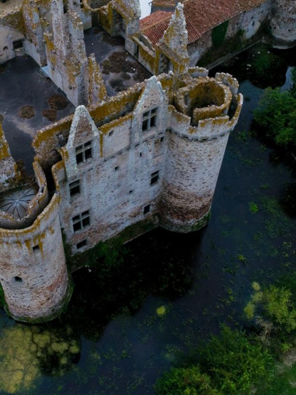 Château de l'Ebaupinay 17