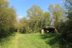 dolmen 1 (mr gérard)