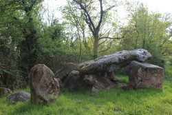 dolmen 6 (mr gérard)