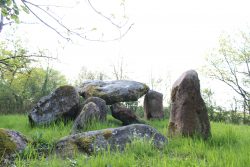 dolmen 8 (mr gérard)