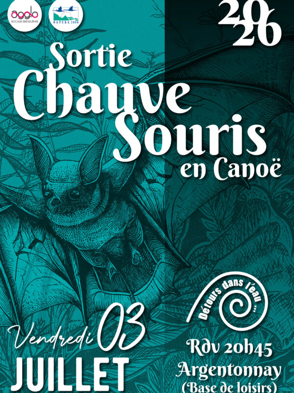 1 - Sortie CHAUVE SOURIS - 3 JUILLET