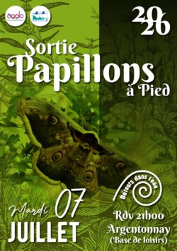 Sortie Papillon 7 Juillet