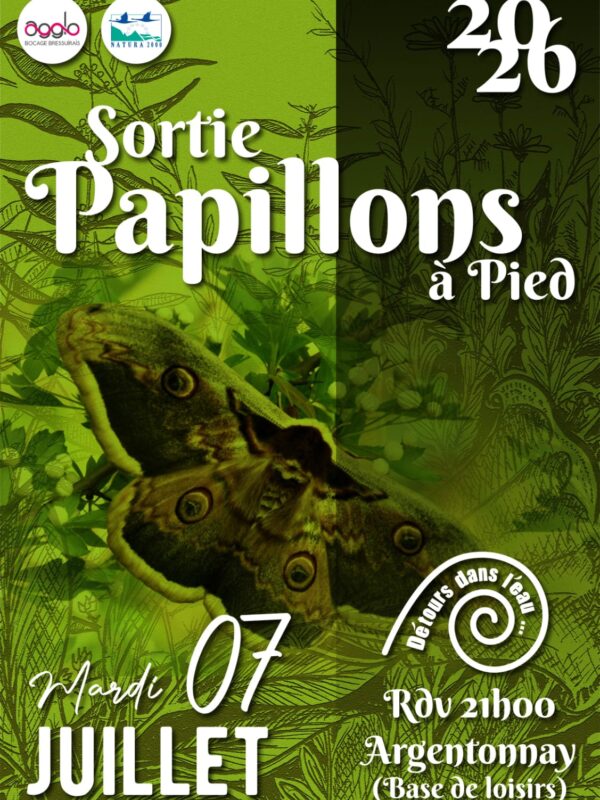 Sortie Papillon 7 Juillet