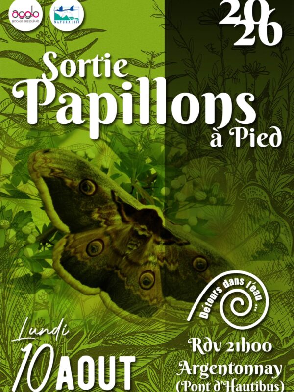 sortie Papillons 10 août