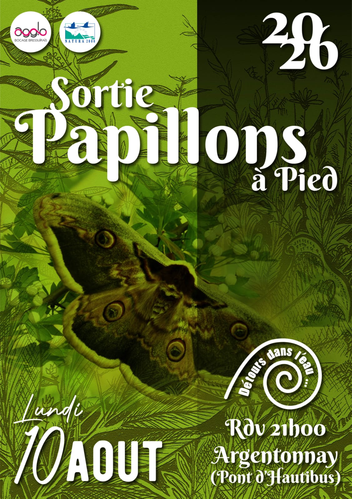 sortie Papillons 10 août