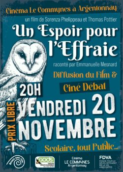 Affiche ciné débat NOV 2026
