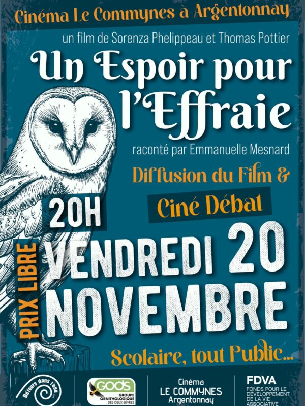 Affiche ciné débat NOV 2026